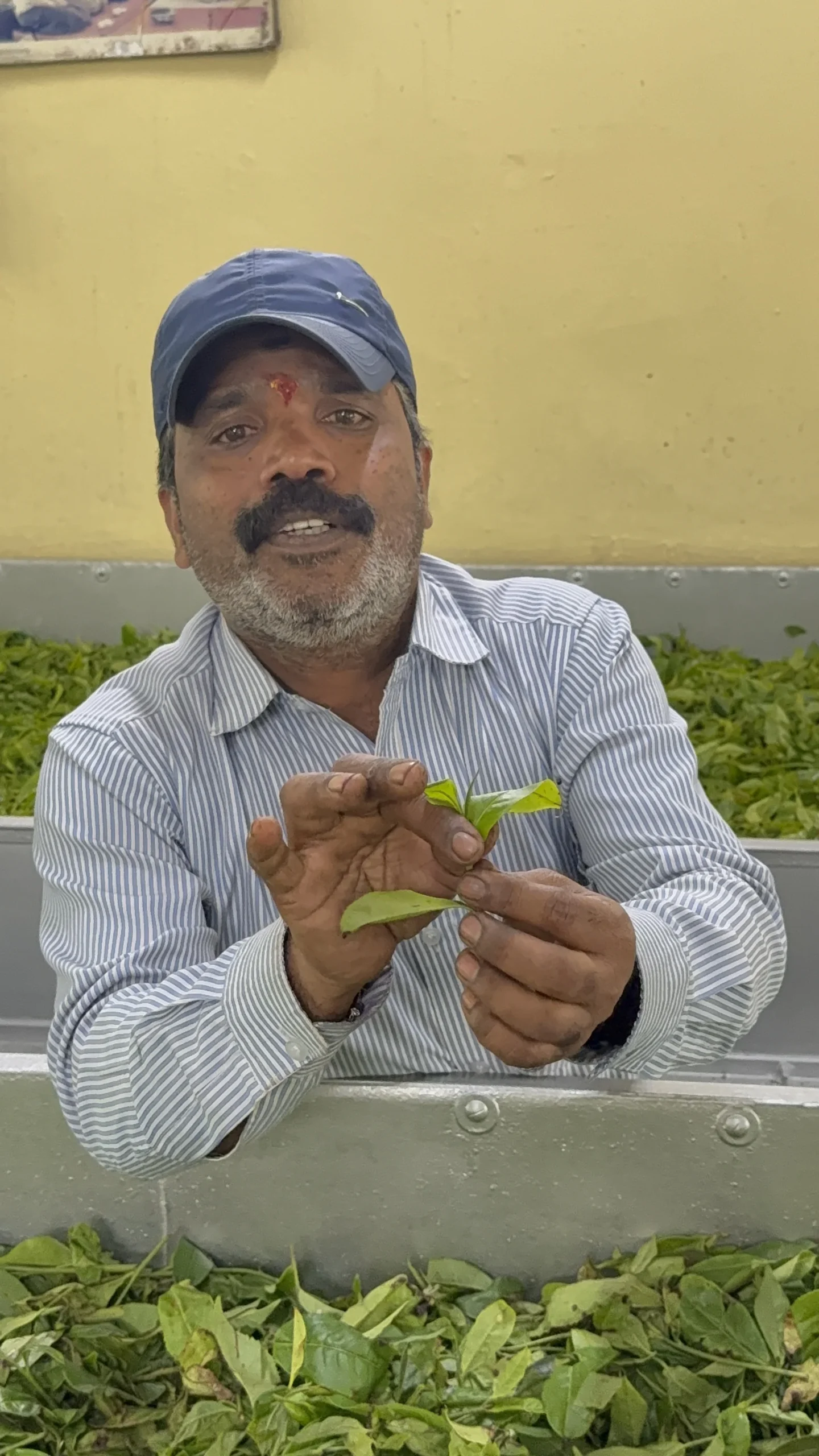 Local Engagement and Livelihoods