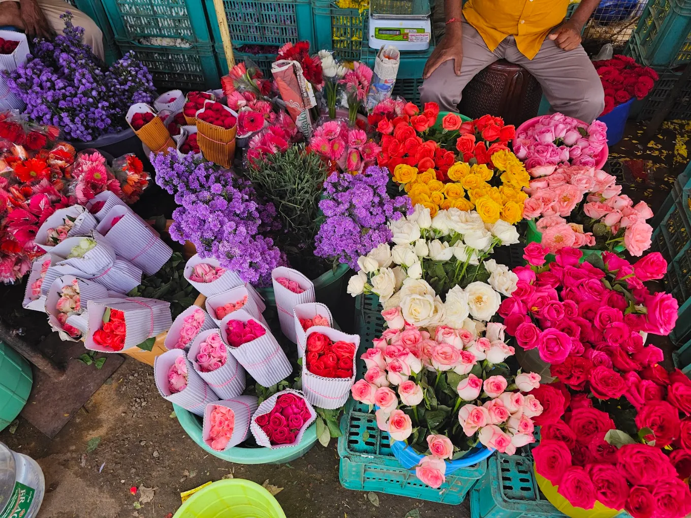 Day 13: Madurai to Munnar | Flowers, Flavours & the Western Ghats